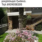 Pensjonat Athanasiou Káto Loutrákion