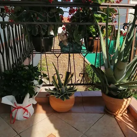 Athanasiou Guest house
